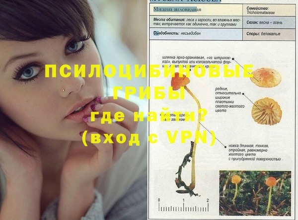 ECSTASY Зерноград