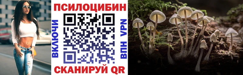 Купить  Козельск  Псилоцибиновые грибы Psilocybine cubensis 